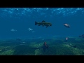 Underwater Fish Stock Footage video 3d animation مشاهد ثلاثية الابعاد