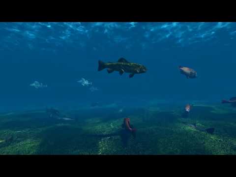      3  مشاهد ثلاثية الابعاد