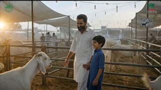 Raast Eid ul Azha TVC - QR Code 