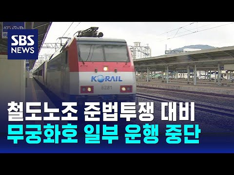 철도노조 준법투쟁 대비 무궁화호 일부 운행 중단 / SBS