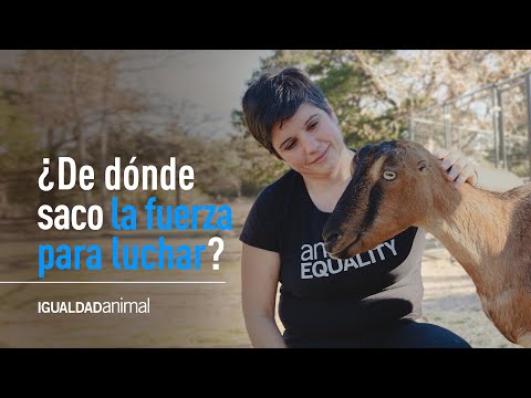 Un MENSAJE de Sharon Núñez: ¿Dónde encuentro la fuerza para luchar por los animales?