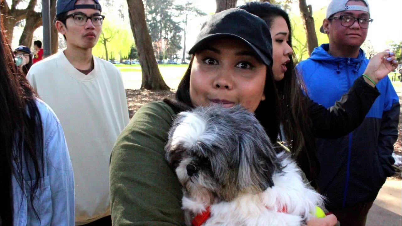 PASA of CSUEB Winter Quarter Flashback YouTube