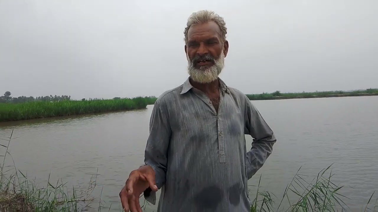 Fish farming information with Bhutto Sahib.     Pls subscribe my chanel 