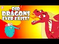 Did dragons ever exist  story of the dragon  the dr binocs show  peekaboo kidz