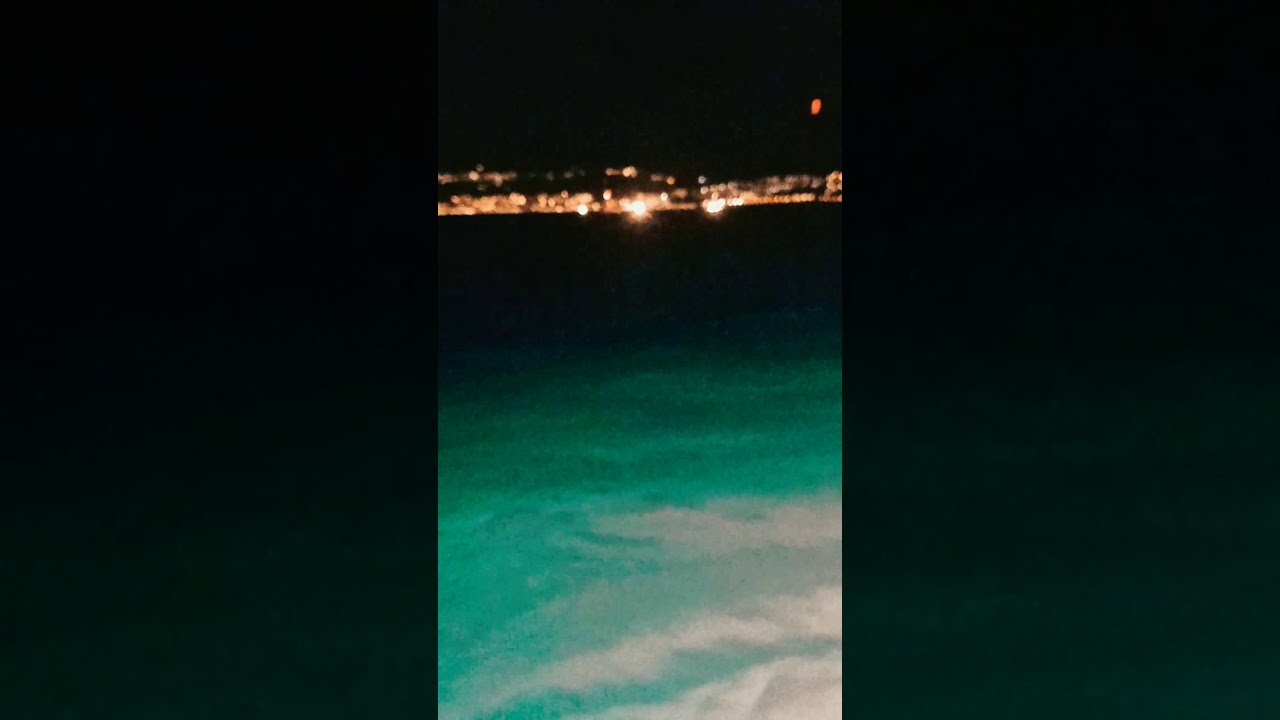 pesca del boquerón en Málaga🌊🐟🐬/pesca de cerco en el Mediterráneo/fishing anchovis Mediterránean sea