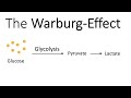 The Warburg-Effect - Glucose Metabolism in Cancer