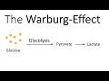 Understanding the Warburg Effect in Cancer Cells