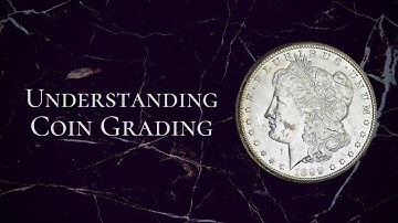 Coin Grading 101: Understanding the Basics of Evaluating Coins