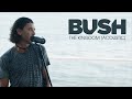 BUSH - The Kingdom [Acoustic]