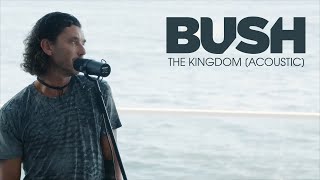 BUSH - The Kingdom [Acoustic]