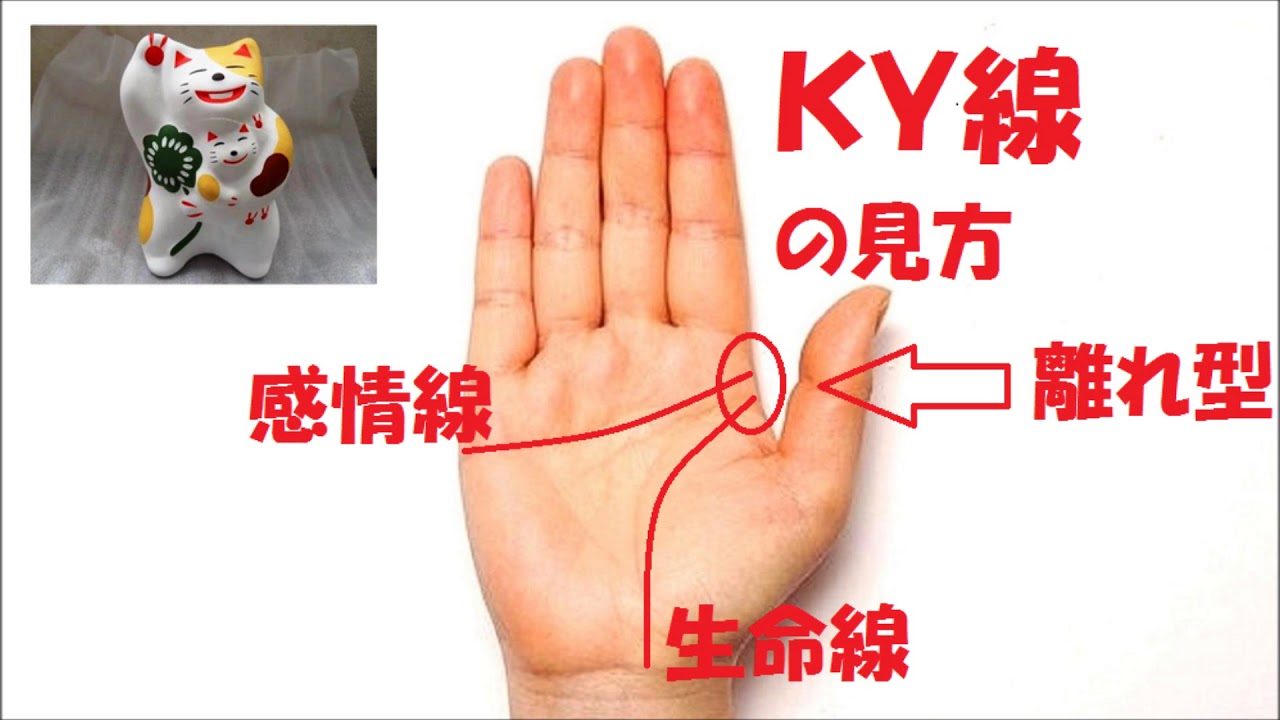ky線の見方 生命線と知能線の離れ型 手相 手相判断 はあとふる Youtube ky線の見方 生命線と知能線の離れ型 手相 手相判断 はあとふる Youtube