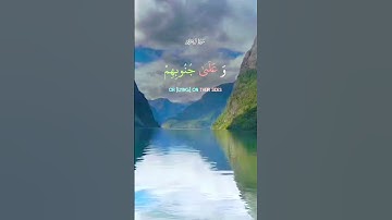 #سورة_آل_عمران #قران_كريم#قرآن#قران