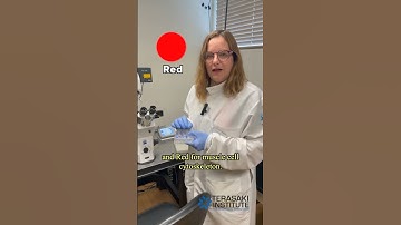 Confocal Microscopy Pt 2 🔬 #shorts Terasaki Institute