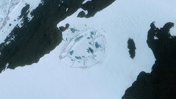 Did Anyone Else Notice This Strange Shape on the Antarctic Ice?