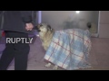 Turkey: Stray pups sheltered from the cold in Istanbul shopping mall