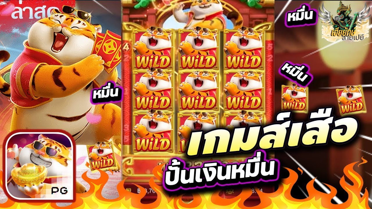 สล็อต PG : Fortune Tiger pg สูตรเสือ 1-3-1โกงจัด ใช้ทุนน้อย แต่ได้ยาว 🤩