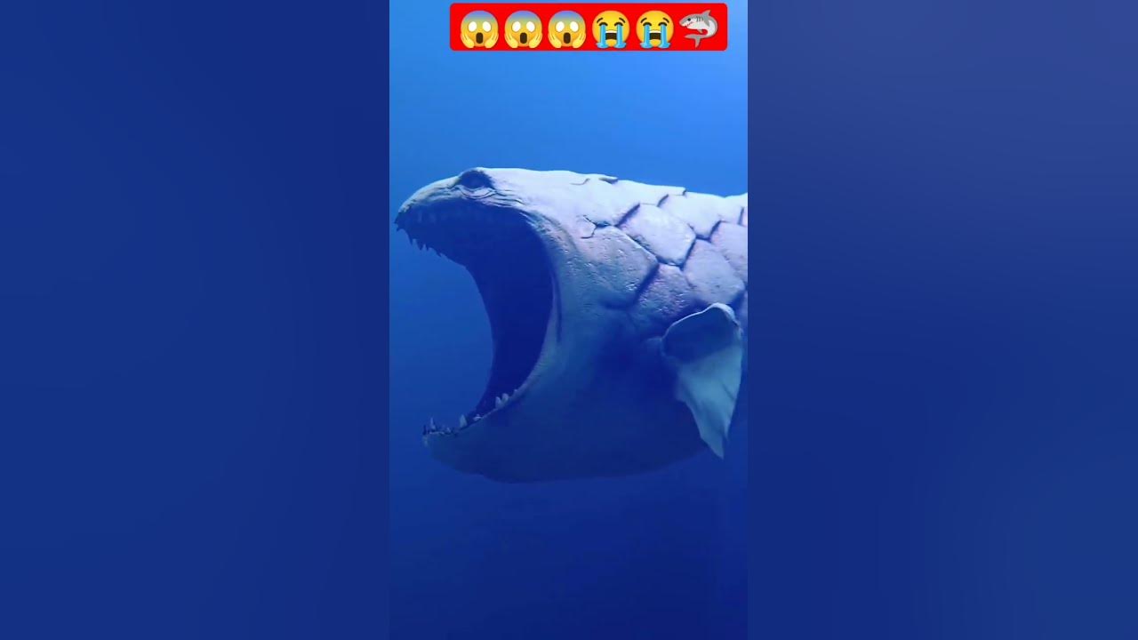 The Bloop is Back | The bloop 2022 #Shorts #thebloop #deepsea