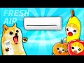 Baby banana cat compilation    happy and cry  cat memes  hot summer