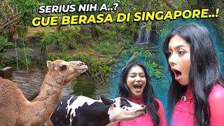 Download Lagu DENADA MELONGO LIAT HEWAN DAN AVIARY GUE... MP3 Download Lagu DENADA MELONGO LIAT HEWAN DAN AVIARY GUE... MP3