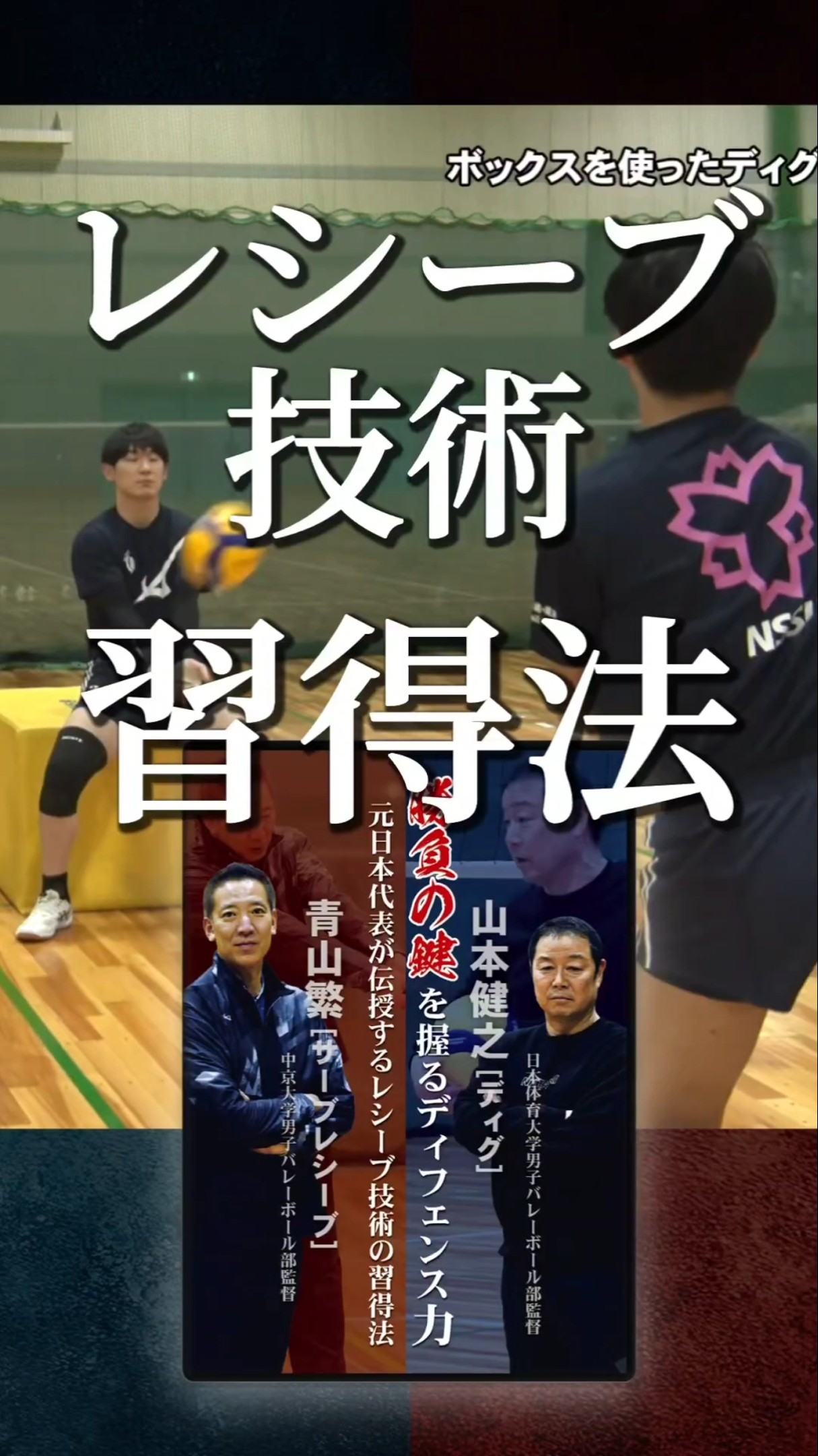 Amazon.co.jp: 【バレーボールのレシーブ上達法】日本体育大学