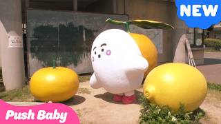Push's hang out!  | musical instrument | Puppet | PushBaby Official
