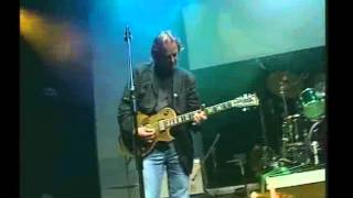 Snowy White - Working Blues (live) chords