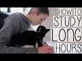 HOW TO STUDY FOR LONG HOURS! STAYING FOCUSED WITH NO PROCRASTINATION | STUDY WITH ME