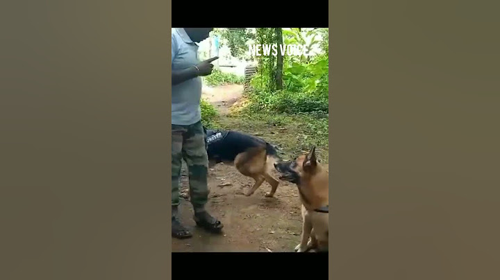 കാട്ടുക്കള്ളന്മാരെ ജാഗ്രതൈ.... പണി വരുന്നുണ്ട്.സ്നിഫർ എത്തി #keralanews #shortsfeed