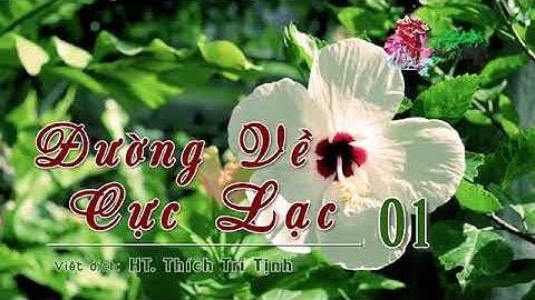 01 ĐƯỜNG VỀ CỰC LẠC_ HT THÍCH TRÍ TỊNH