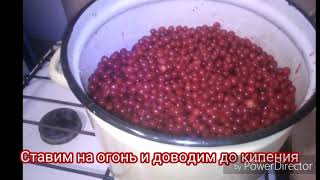 Калина/Клалиновое варенье/Польза калинового впренья Калина/Клалиновое варенье/Польза калинового впренья