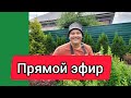 Прямой эфир 10.04.22