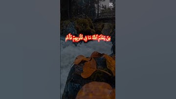 اللهم اجعل القرآن الكريم ربيع قلوبنا ونور صدورنا #shortvideo #اكسبلور #المصحف #الرحمن #لايك #صباح