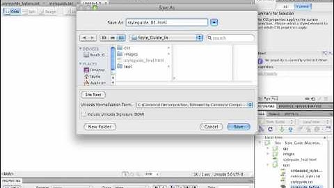 9.Creating.a.CSS.Style.Guide( Creating and saving a new document).mov