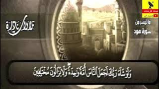 Al-Majd Quran Channel frequency on Nilesat