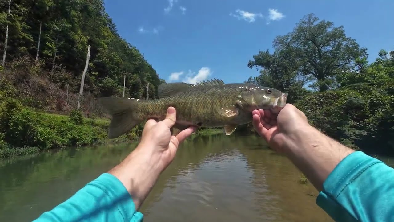 Tennessee Creek Fishing + Two New PB Smallmouth