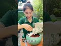 Trồng củ bình vôi siêu xinh #shorts