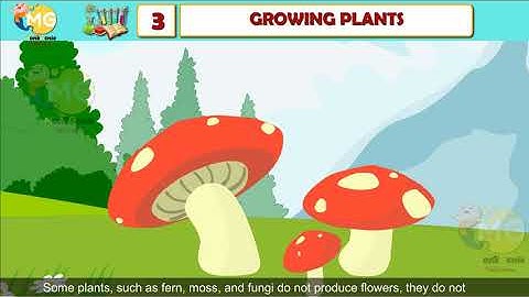 GROWING PLANTS || CHAPTER 3 || CLASS 5|| EVS || FREE ONLINE LEARNING CLASS