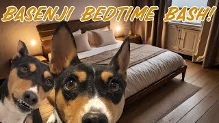 Basenji Bedtime Bash! by Basenji Adventures 454 views 4 months ago 2 minutes, 44 seconds