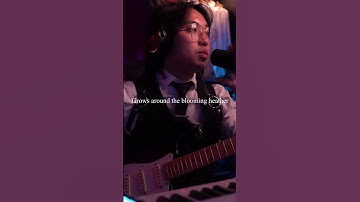 Thumbnail of Will ye go, Lassie go? #cover #music #sinners #streamer #twitch #fyp #pourtoi #asmr #chill  #guitar