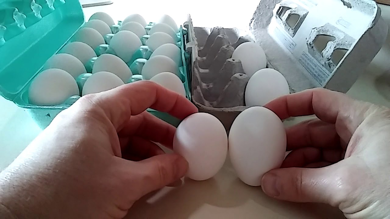 Aldi Eggs Walmart Eggs YouTube