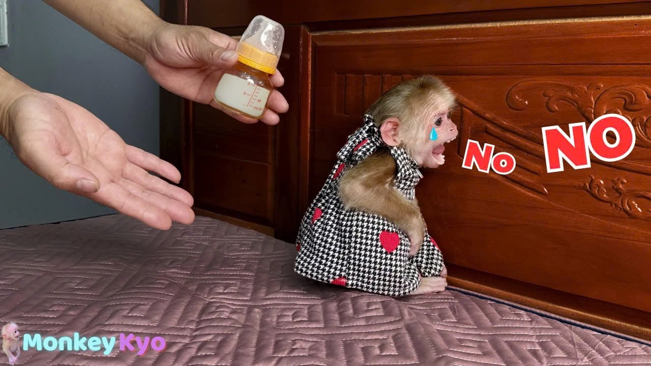 The most emotional moments of Kyo | Kyo’s Story!