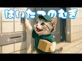 【社畜ねこのむぎ】お待たせしました!! 配達バイトを始めたむぎの一日に密着🐱📦