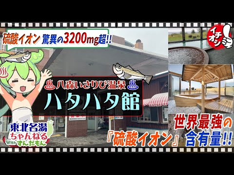 【八森いさりび温泉 ハタハタ館】東北の名湯をずんだもんが解説！ 施設情報や成分表など訪れる前に役立つ情報もり沢山で紹介するのだ！【東北名湯ちゃんねる】