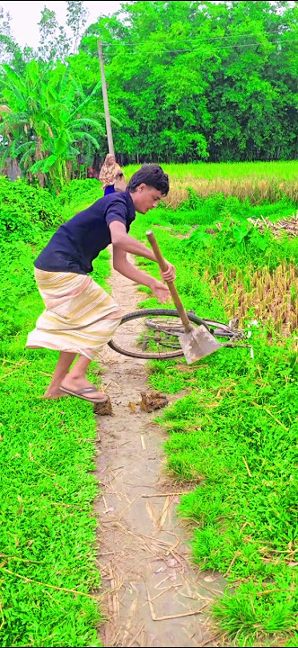 They made a road through the dung.