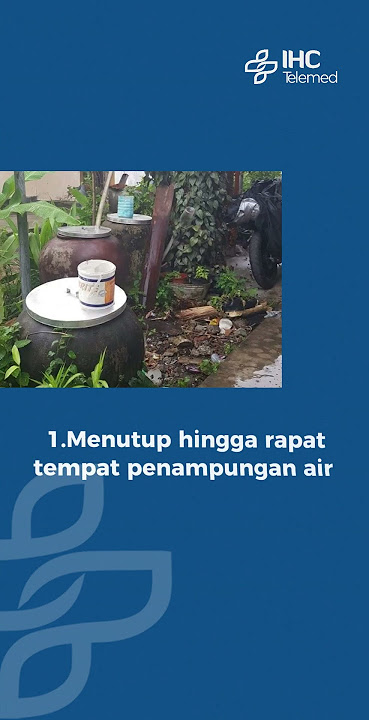 CEGAH DEMAN BERDARAH DENGAN 3M