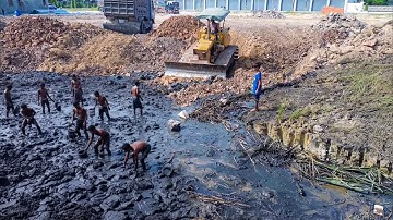Amazing Process Filling Soil Rock on Black Mud by 5T Dump Truck Team & Komatsu Bulldozer