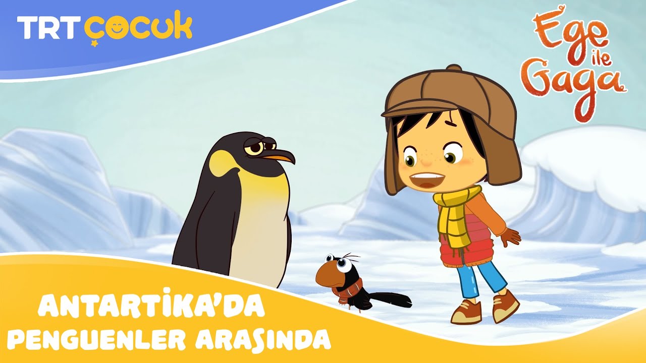 Ege İla Gaga | Antartika'da Penguenler Arasında