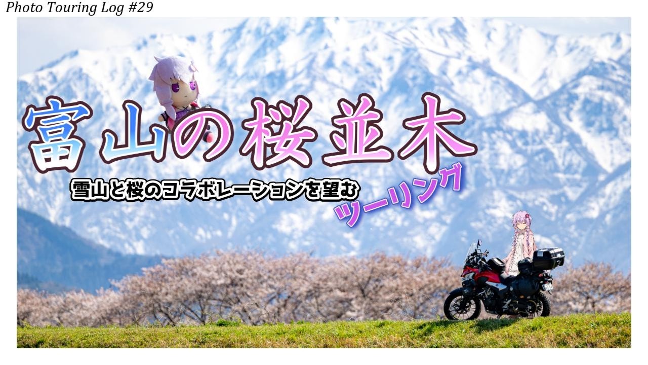 400X] View of the Tateyama mountain range and cherry blossom trees