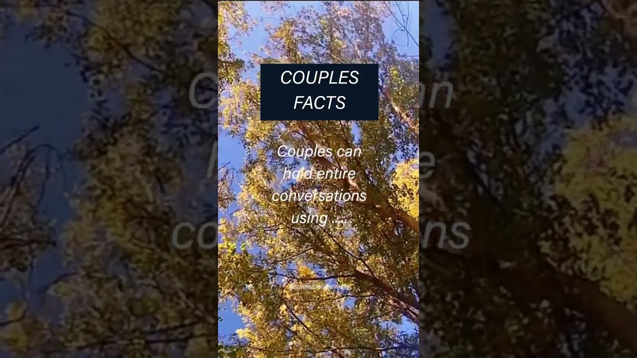Couples is it true? Comment below 👇 