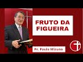 Culto 1/11/2020-  Pr. Paulo- Fruto da figueira -